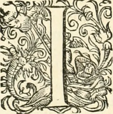 An illustration from I.[-VI.] pars Romanae vrbis topographiae & antiquitatum, quâ succinctê & breviter describuntur omnia quae tam publicê quam privatim videntur anim-adversione digna:, 1597, leaf 303