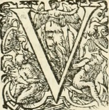 An illustration from I.[-VI.] pars Romanae vrbis topographiae & antiquitatum, quâ succinctê & breviter describuntur omnia quae tam publicê quam privatim videntur anim-adversione digna:, 1597, leaf 307