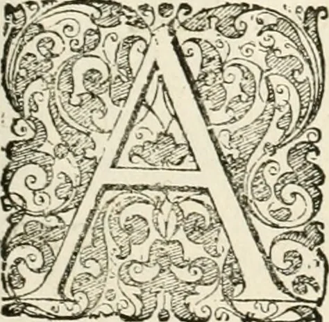 An illustration from I.[-VI.] pars Romanae vrbis topographiae & antiquitatum, quâ succinctê & breviter describuntur omnia quae tam publicê quam privatim videntur anim-adversione digna:, 1597, leaf 308