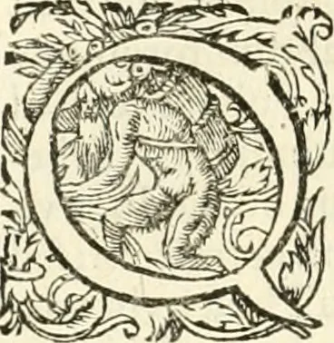 An illustration from I.[-VI.] pars Romanae vrbis topographiae & antiquitatum, quâ succinctê & breviter describuntur omnia quae tam publicê quam privatim videntur anim-adversione digna:, 1597, leaf 309