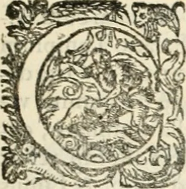 An illustration from I.[-VI.] pars Romanae vrbis topographiae & antiquitatum, quâ succinctê & breviter describuntur omnia quae tam publicê quam privatim videntur anim-adversione digna:, 1597, leaf 310