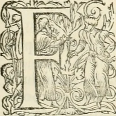 An illustration from I.[-VI.] pars Romanae vrbis topographiae & antiquitatum, quâ succinctê & breviter describuntur omnia quae tam publicê quam privatim videntur anim-adversione digna:, 1597, leaf 310