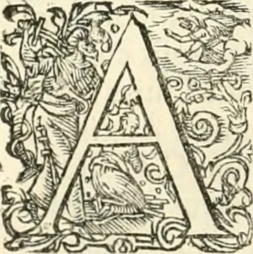 An illustration from I.[-VI.] pars Romanae vrbis topographiae & antiquitatum, quâ succinctê & breviter describuntur omnia quae tam publicê quam privatim videntur anim-adversione digna:, 1597, leaf 311