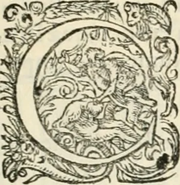 An illustration from I.[-VI.] pars Romanae vrbis topographiae & antiquitatum, quâ succinctê & breviter describuntur omnia quae tam publicê quam privatim videntur anim-adversione digna:, 1597, leaf 312