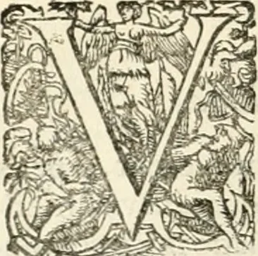 An illustration from I.[-VI.] pars Romanae vrbis topographiae & antiquitatum, quâ succinctê & breviter describuntur omnia quae tam publicê quam privatim videntur anim-adversione digna:, 1597, leaf 313