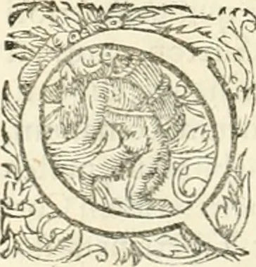 An illustration from I.[-VI.] pars Romanae vrbis topographiae & antiquitatum, quâ succinctê & breviter describuntur omnia quae tam publicê quam privatim videntur anim-adversione digna:, 1597, leaf 313