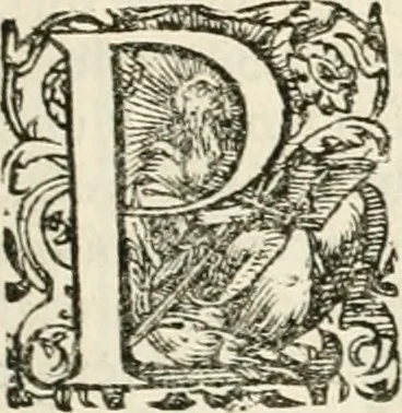 An illustration from I.[-VI.] pars Romanae vrbis topographiae & antiquitatum, quâ succinctê & breviter describuntur omnia quae tam publicê quam privatim videntur anim-adversione digna:, 1597, leaf 314
