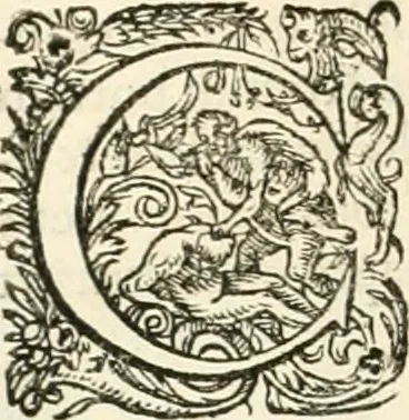 An illustration from I.[-VI.] pars Romanae vrbis topographiae & antiquitatum, quâ succinctê & breviter describuntur omnia quae tam publicê quam privatim videntur anim-adversione digna:, 1597, leaf 315