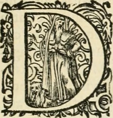 An illustration from I.[-VI.] pars Romanae vrbis topographiae & antiquitatum, quâ succinctê & breviter describuntur omnia quae tam publicê quam privatim videntur anim-adversione digna:, 1597, leaf 316