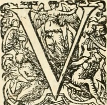 An illustration from I.[-VI.] pars Romanae vrbis topographiae & antiquitatum, quâ succinctê & breviter describuntur omnia quae tam publicê quam privatim videntur anim-adversione digna:, 1597, leaf 317