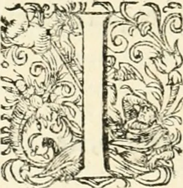 An illustration from I.[-VI.] pars Romanae vrbis topographiae & antiquitatum, quâ succinctê & breviter describuntur omnia quae tam publicê quam privatim videntur anim-adversione digna:, 1597, leaf 319