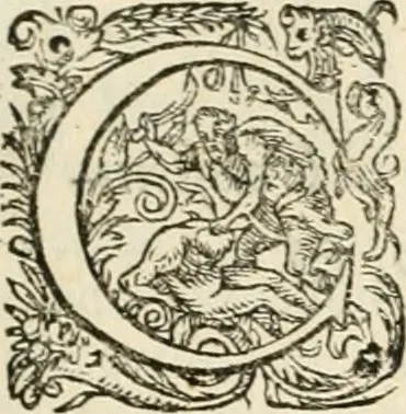 An illustration from I.[-VI.] pars Romanae vrbis topographiae & antiquitatum, quâ succinctê & breviter describuntur omnia quae tam publicê quam privatim videntur anim-adversione digna:, 1597, leaf 326