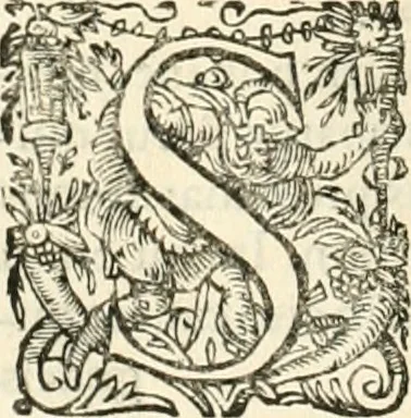 An illustration from I.[-VI.] pars Romanae vrbis topographiae & antiquitatum, quâ succinctê & breviter describuntur omnia quae tam publicê quam privatim videntur anim-adversione digna:, 1597, leaf 329