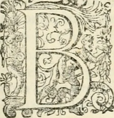 An illustration from I.[-VI.] pars Romanae vrbis topographiae & antiquitatum, quâ succinctê & breviter describuntur omnia quae tam publicê quam privatim videntur anim-adversione digna:, 1597, leaf 330