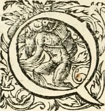 An illustration from I.[-VI.] pars Romanae vrbis topographiae & antiquitatum, quâ succinctê & breviter describuntur omnia quae tam publicê quam privatim videntur anim-adversione digna:, 1597, leaf 333