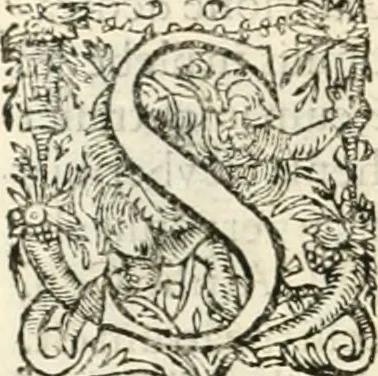 An illustration from I.[-VI.] pars Romanae vrbis topographiae & antiquitatum, quâ succinctê & breviter describuntur omnia quae tam publicê quam privatim videntur anim-adversione digna:, 1597, leaf 335