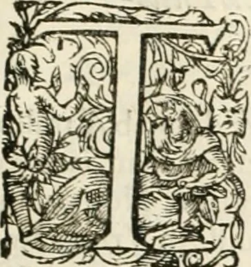 An illustration from I.[-VI.] pars Romanae vrbis topographiae & antiquitatum, quâ succinctê & breviter describuntur omnia quae tam publicê quam privatim videntur anim-adversione digna:, 1597, leaf 338