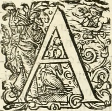 An illustration from I.[-VI.] pars Romanae vrbis topographiae & antiquitatum, quâ succinctê & breviter describuntur omnia quae tam publicê quam privatim videntur anim-adversione digna:, 1597, leaf 339