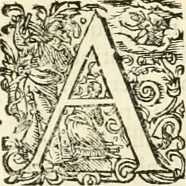 An illustration from I.[-VI.] pars Romanae vrbis topographiae & antiquitatum, quâ succinctê & breviter describuntur omnia quae tam publicê quam privatim videntur anim-adversione digna:, 1597, leaf 341