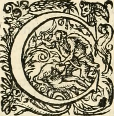 An illustration from I.[-VI.] pars Romanae vrbis topographiae & antiquitatum, quâ succinctê & breviter describuntur omnia quae tam publicê quam privatim videntur anim-adversione digna:, 1597, leaf 343