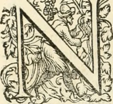 An illustration from I.[-VI.] pars Romanae vrbis topographiae & antiquitatum, quâ succinctê & breviter describuntur omnia quae tam publicê quam privatim videntur anim-adversione digna:, 1597, leaf 345