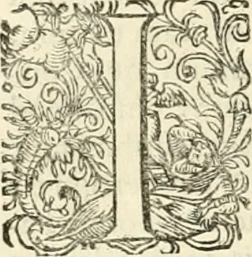 An illustration from I.[-VI.] pars Romanae vrbis topographiae & antiquitatum, quâ succinctê & breviter describuntur omnia quae tam publicê quam privatim videntur anim-adversione digna:, 1597, leaf 345