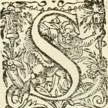 An illustration from I.[-VI.] pars Romanae vrbis topographiae & antiquitatum, quâ succinctê & breviter describuntur omnia quae tam publicê quam privatim videntur anim-adversione digna:, 1597, leaf 347