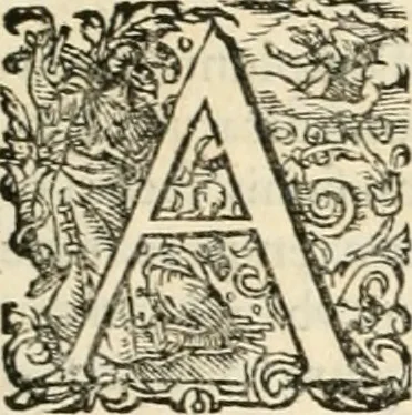 An illustration from I.[-VI.] pars Romanae vrbis topographiae & antiquitatum, quâ succinctê & breviter describuntur omnia quae tam publicê quam privatim videntur anim-adversione digna:, 1597, leaf 348