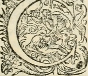 An illustration from I.[-VI.] pars Romanae vrbis topographiae & antiquitatum, quâ succinctê & breviter describuntur omnia quae tam publicê quam privatim videntur anim-adversione digna:, 1597, leaf 348