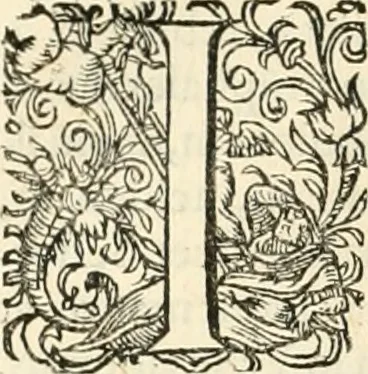 An illustration from I.[-VI.] pars Romanae vrbis topographiae & antiquitatum, quâ succinctê & breviter describuntur omnia quae tam publicê quam privatim videntur anim-adversione digna:, 1597, leaf 349