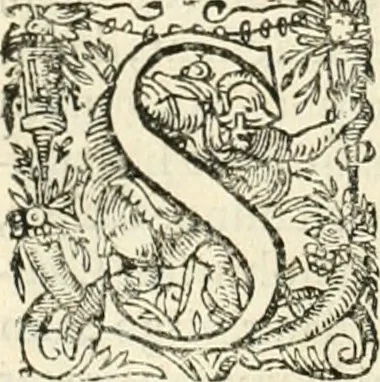 An illustration from I.[-VI.] pars Romanae vrbis topographiae & antiquitatum, quâ succinctê & breviter describuntur omnia quae tam publicê quam privatim videntur anim-adversione digna:, 1597, leaf 349