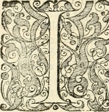 An illustration from I.[-VI.] pars Romanae vrbis topographiae & antiquitatum, quâ succinctê & breviter describuntur omnia quae tam publicê quam privatim videntur anim-adversione digna:, 1597, leaf 355