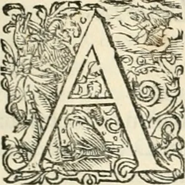 An illustration from I.[-VI.] pars Romanae vrbis topographiae & antiquitatum, quâ succinctê & breviter describuntur omnia quae tam publicê quam privatim videntur anim-adversione digna:, 1597, leaf 358