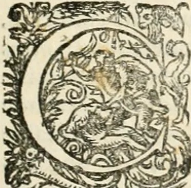 An illustration from I.[-VI.] pars Romanae vrbis topographiae & antiquitatum, quâ succinctê & breviter describuntur omnia quae tam publicê quam privatim videntur anim-adversione digna:, 1597, leaf 358