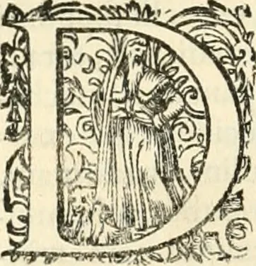 An illustration from I.[-VI.] pars Romanae vrbis topographiae & antiquitatum, quâ succinctê & breviter describuntur omnia quae tam publicê quam privatim videntur anim-adversione digna:, 1597, leaf 359