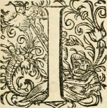 An illustration from I.[-VI.] pars Romanae vrbis topographiae & antiquitatum, quâ succinctê & breviter describuntur omnia quae tam publicê quam privatim videntur anim-adversione digna:, 1597, leaf 362
