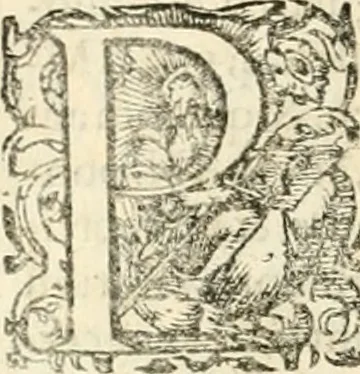 An illustration from I.[-VI.] pars Romanae vrbis topographiae & antiquitatum, quâ succinctê & breviter describuntur omnia quae tam publicê quam privatim videntur anim-adversione digna:, 1597, leaf 363