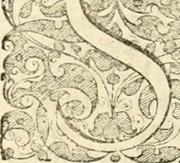 An illustration from I.[-VI.] pars Romanae vrbis topographiae & antiquitatum, quâ succinctê & breviter describuntur omnia quae tam publicê quam privatim videntur anim-adversione digna:, 1597, leaf 363