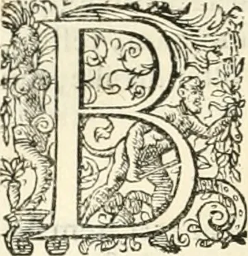 An illustration from I.[-VI.] pars Romanae vrbis topographiae & antiquitatum, quâ succinctê & breviter describuntur omnia quae tam publicê quam privatim videntur anim-adversione digna:, 1597, leaf 367