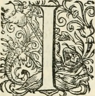 An illustration from I.[-VI.] pars Romanae vrbis topographiae & antiquitatum, quâ succinctê & breviter describuntur omnia quae tam publicê quam privatim videntur anim-adversione digna:, 1597, leaf 368