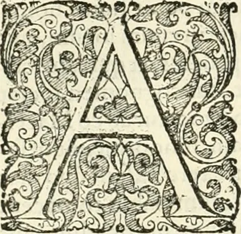 An illustration from I.[-VI.] pars Romanae vrbis topographiae & antiquitatum, quâ succinctê & breviter describuntur omnia quae tam publicê quam privatim videntur anim-adversione digna:, 1597, leaf 369