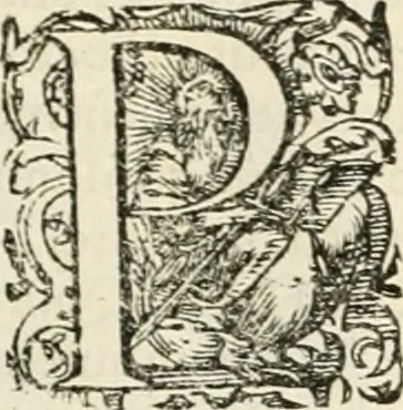 An illustration from I.[-VI.] pars Romanae vrbis topographiae & antiquitatum, quâ succinctê & breviter describuntur omnia quae tam publicê quam privatim videntur anim-adversione digna:, 1597, leaf 370