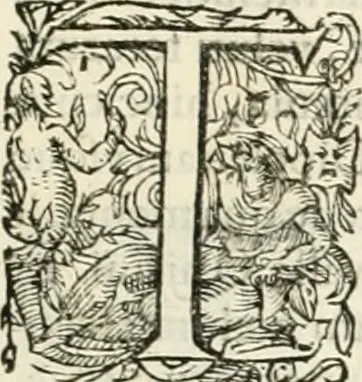 An illustration from I.[-VI.] pars Romanae vrbis topographiae & antiquitatum, quâ succinctê & breviter describuntur omnia quae tam publicê quam privatim videntur anim-adversione digna:, 1597, leaf 372