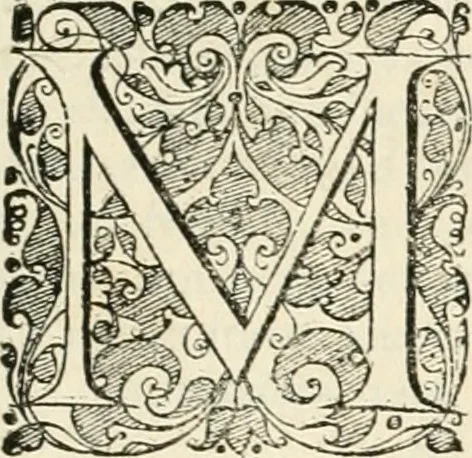 An illustration from I.[-VI.] pars Romanae vrbis topographiae & antiquitatum, quâ succinctê & breviter describuntur omnia quae tam publicê quam privatim videntur anim-adversione digna:, 1597, leaf 374