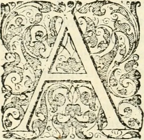 An illustration from I.[-VI.] pars Romanae vrbis topographiae & antiquitatum, quâ succinctê & breviter describuntur omnia quae tam publicê quam privatim videntur anim-adversione digna:, 1597, leaf 375