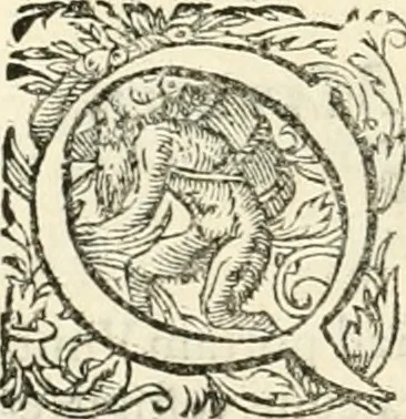 An illustration from I.[-VI.] pars Romanae vrbis topographiae & antiquitatum, quâ succinctê & breviter describuntur omnia quae tam publicê quam privatim videntur anim-adversione digna:, 1597, leaf 377