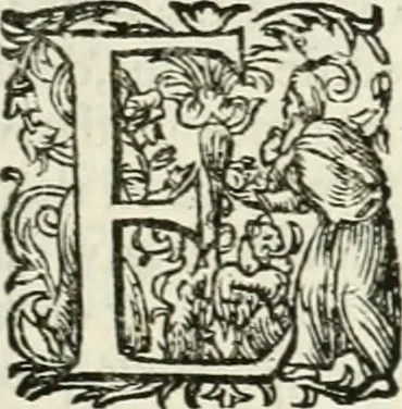 An illustration from I.[-VI.] pars Romanae vrbis topographiae & antiquitatum, quâ succinctê & breviter describuntur omnia quae tam publicê quam privatim videntur anim-adversione digna:, 1597, leaf 378