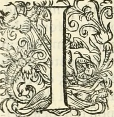 An illustration from I.[-VI.] pars Romanae vrbis topographiae & antiquitatum, quâ succinctê & breviter describuntur omnia quae tam publicê quam privatim videntur anim-adversione digna:, 1597, leaf 379