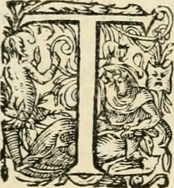 An illustration from I.[-VI.] pars Romanae vrbis topographiae & antiquitatum, quâ succinctê & breviter describuntur omnia quae tam publicê quam privatim videntur anim-adversione digna:, 1597, leaf 386