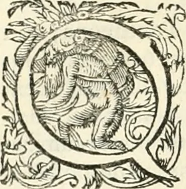 An illustration from I.[-VI.] pars Romanae vrbis topographiae & antiquitatum, quâ succinctê & breviter describuntur omnia quae tam publicê quam privatim videntur anim-adversione digna:, 1597, leaf 391